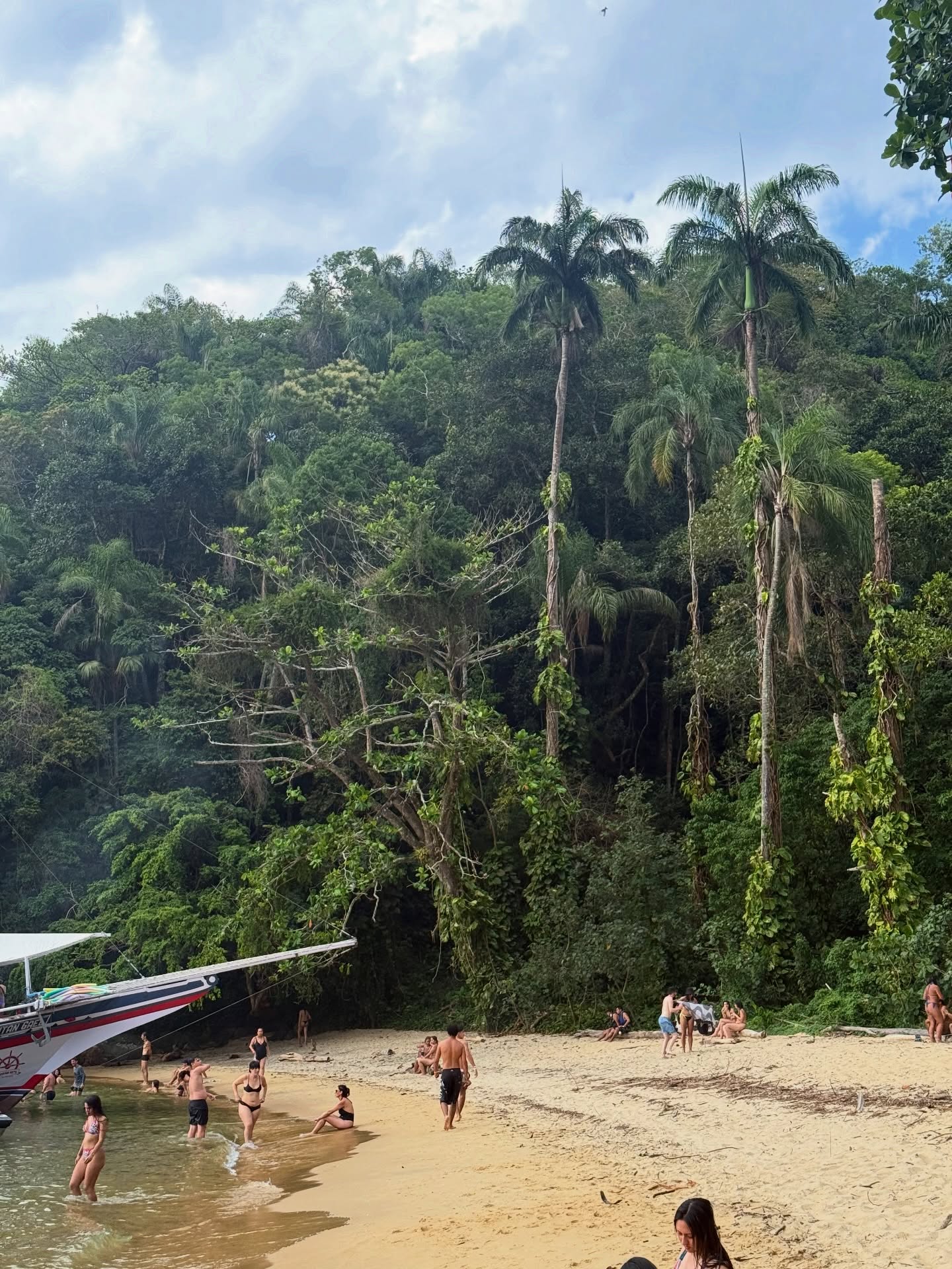 Tropical Brazilian beach with palm trees and a tour boat moored on the sand