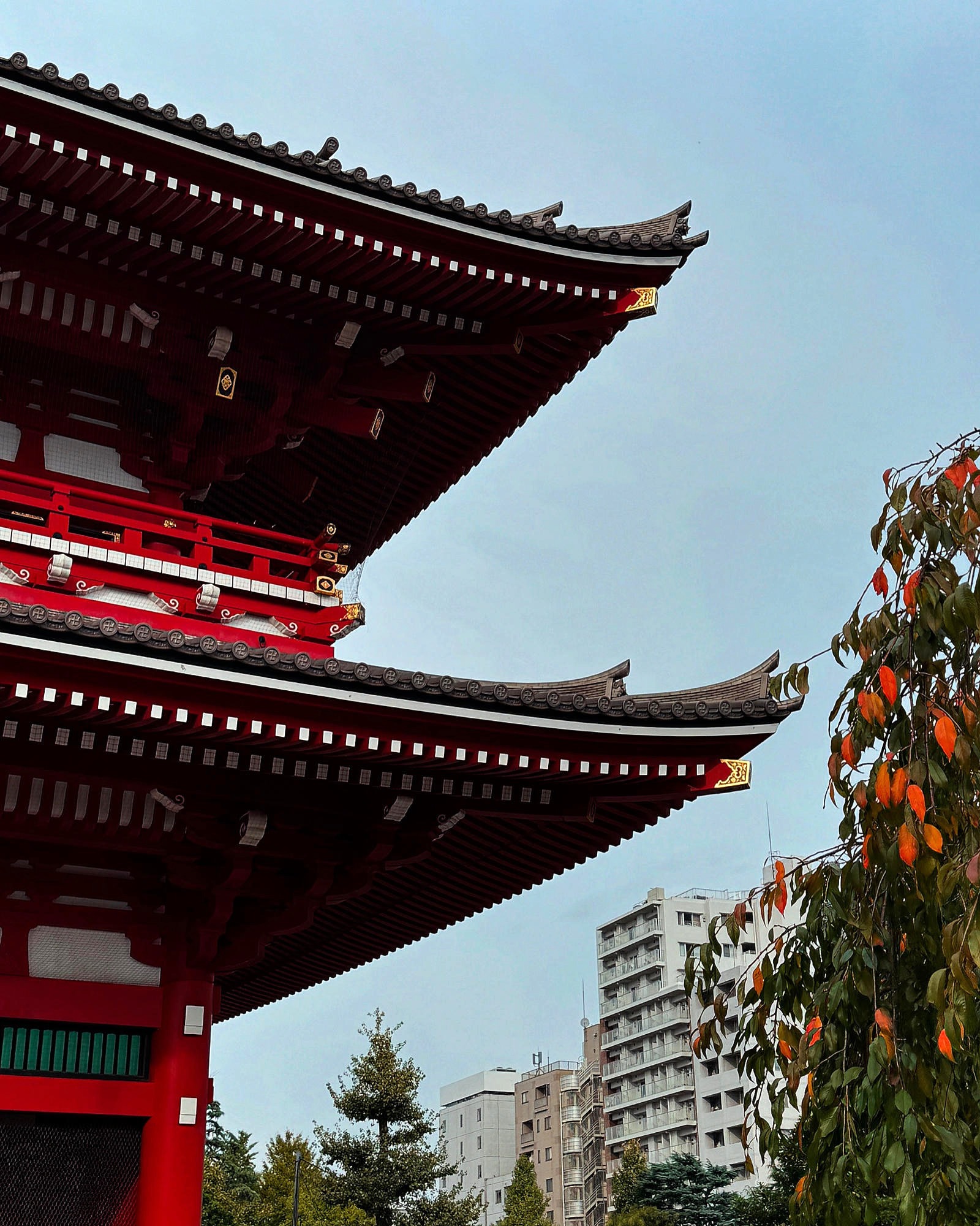 Red pagoda eaves curving against a Tokyo sky